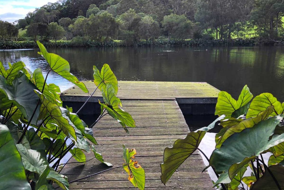 J2 Build Jerrara house renovation jetty